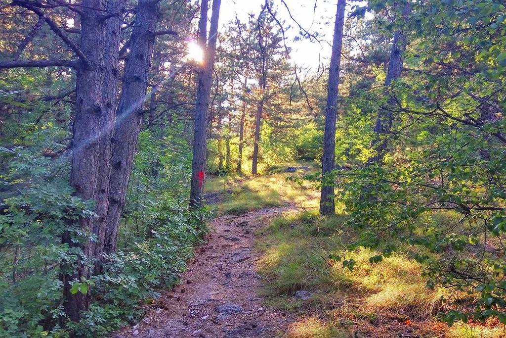 Green Trebjesa Apartment Nikšić エクステリア 写真